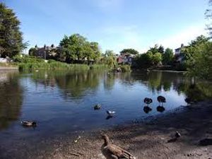 Near Chislehurst ponds- click for photo gallery